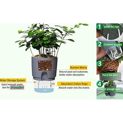 Macetas Autorriego ETGLCOZY 5 Piezas Gris 15,24 cm