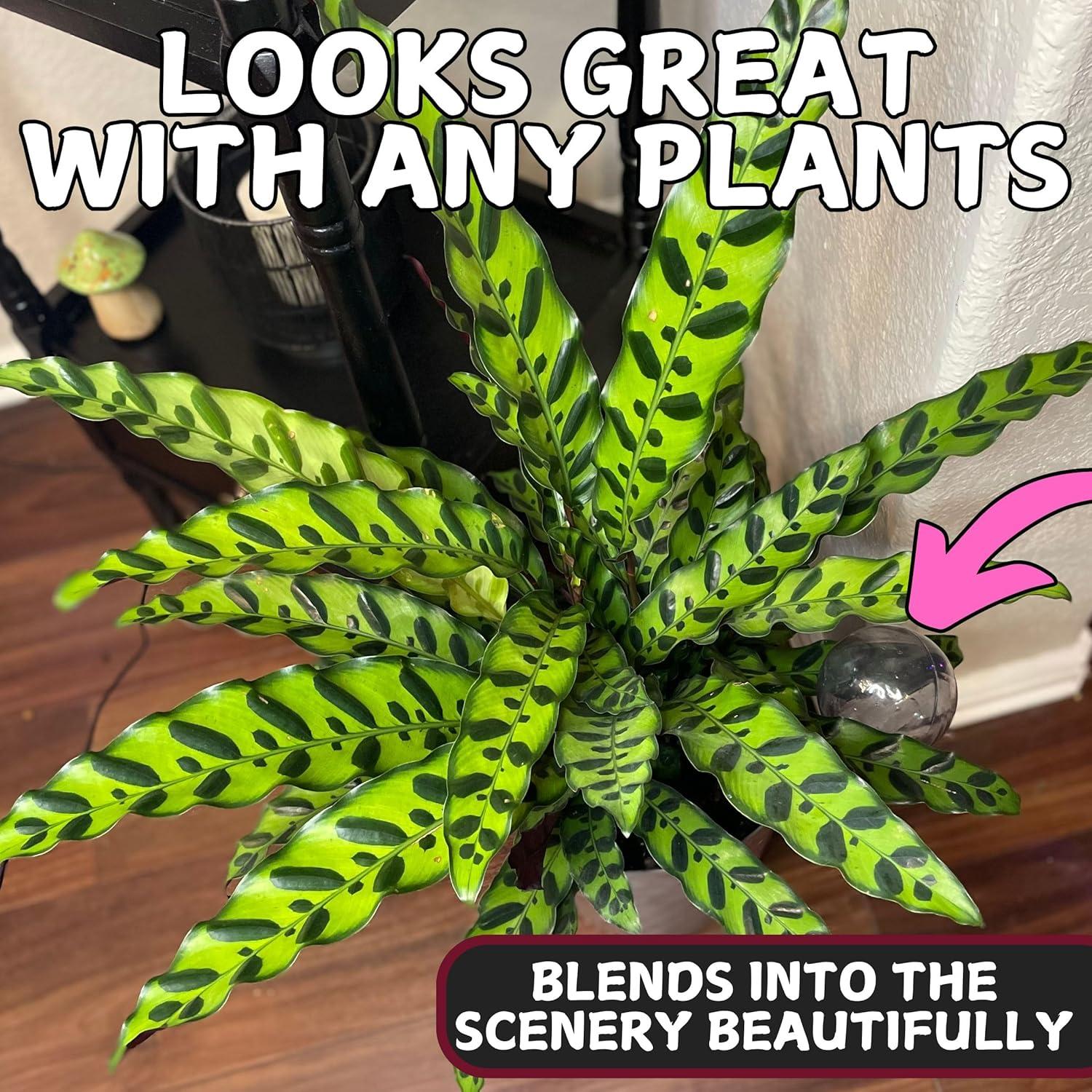 Esferas de Riego Automático Tiny Terrains - 2 Bombillas de Agua