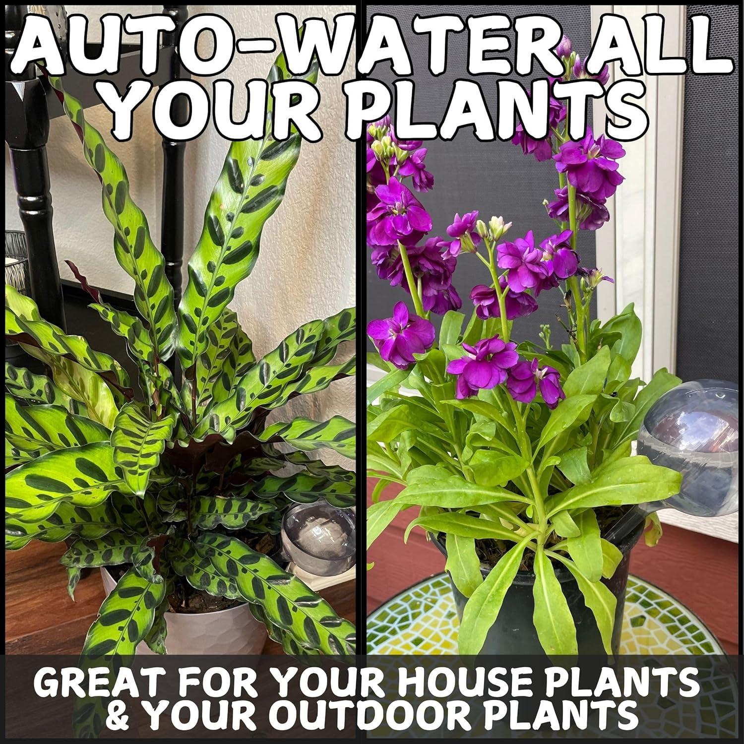 Esferas de Riego Automático Tiny Terrains - 2 Bombillas de Agua