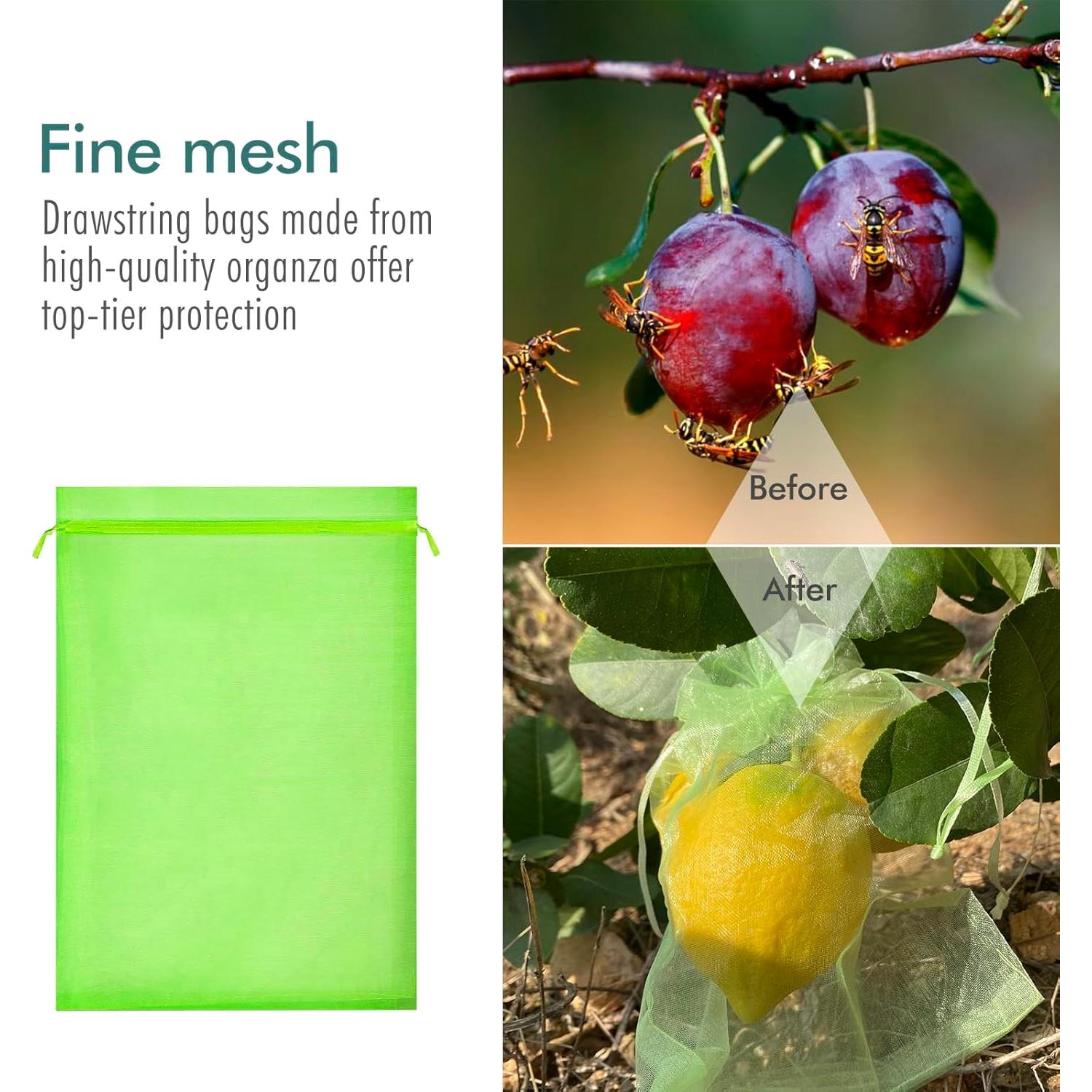 Bolsas de Protección para Frutas Fetanten 50 PCS 10x15 cm