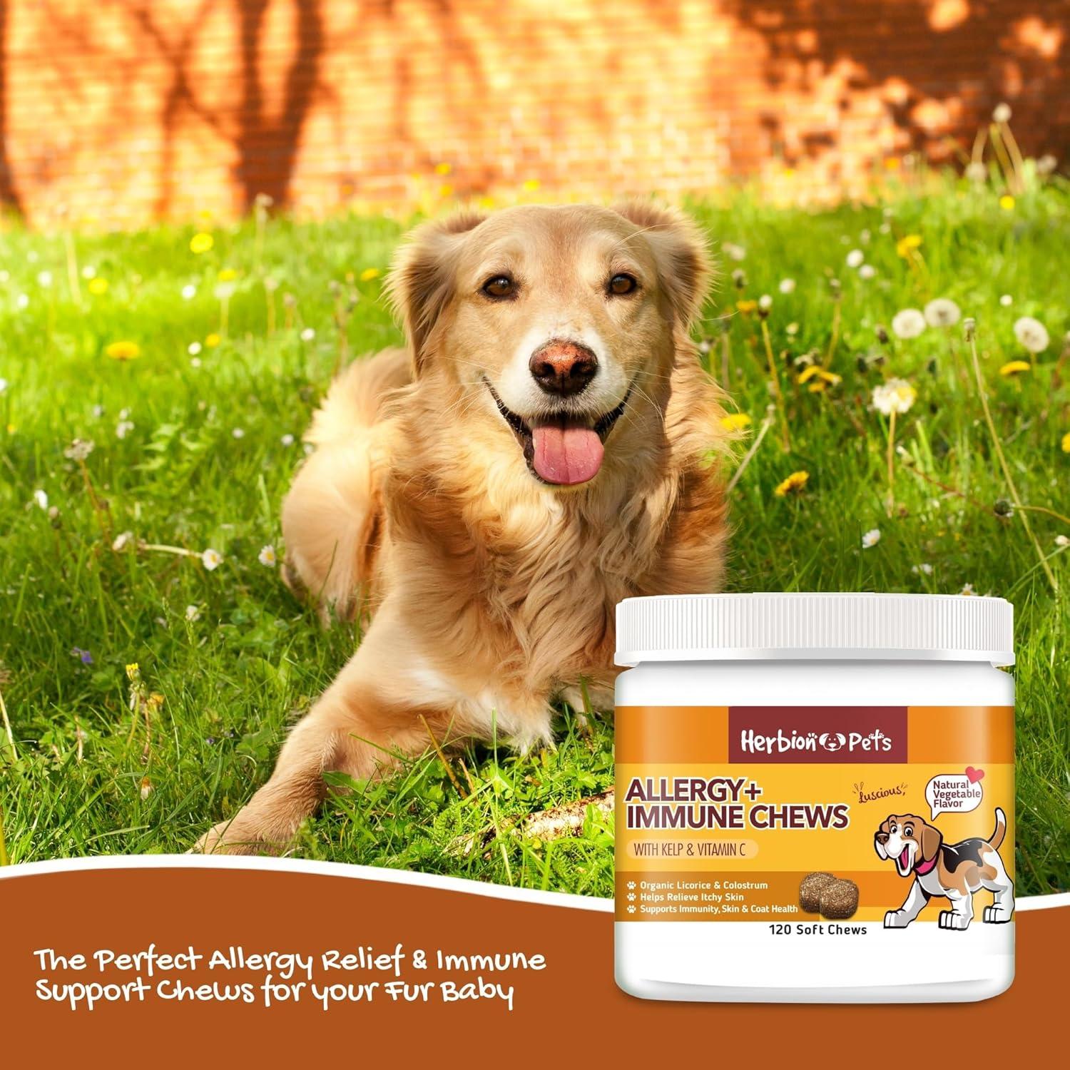 Chews para Alergia e Inmunidad Herbion 120 Unidades para Perros