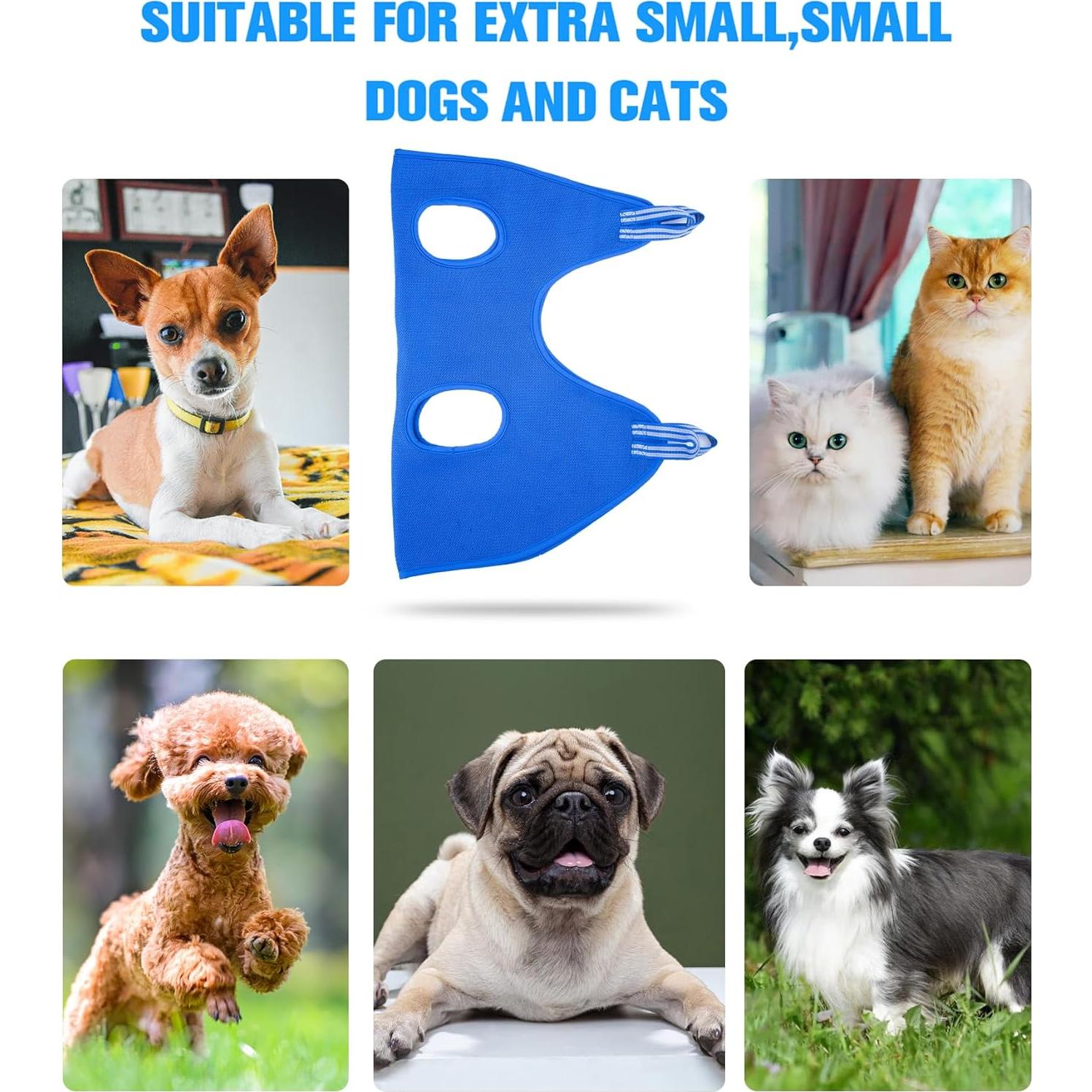 Arnés de Hamaca para Mascotas Kkiimatt XXS Azul 10 en 1