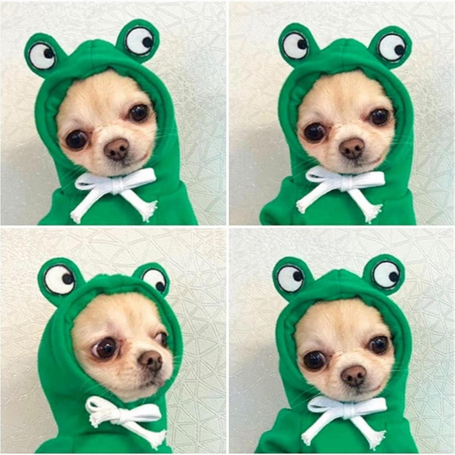Abrigo para Perro Maruomiki Verde XS con Capucha