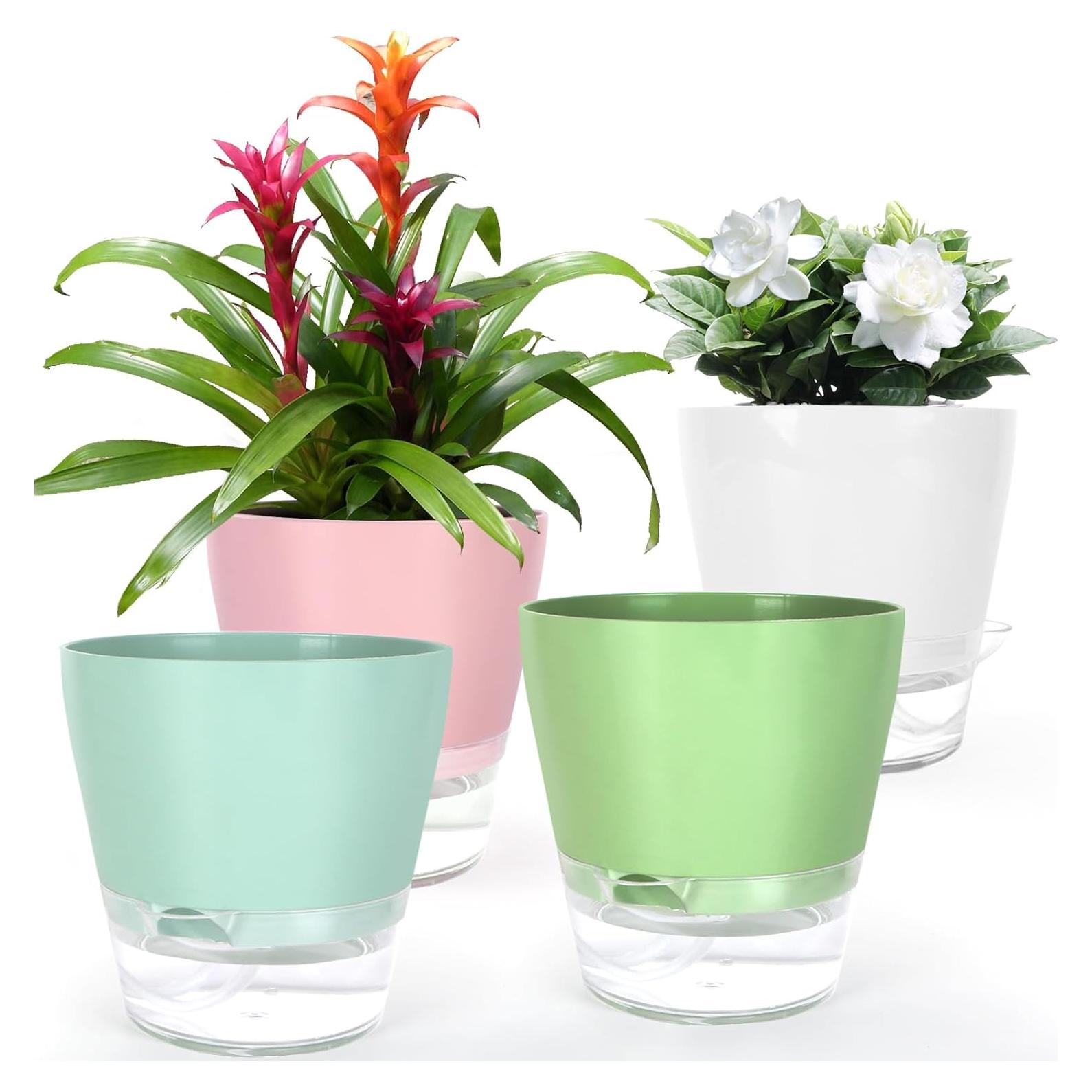 4 Macetas Autorriego Lokeisna 15 cm con Drenaje y Plato