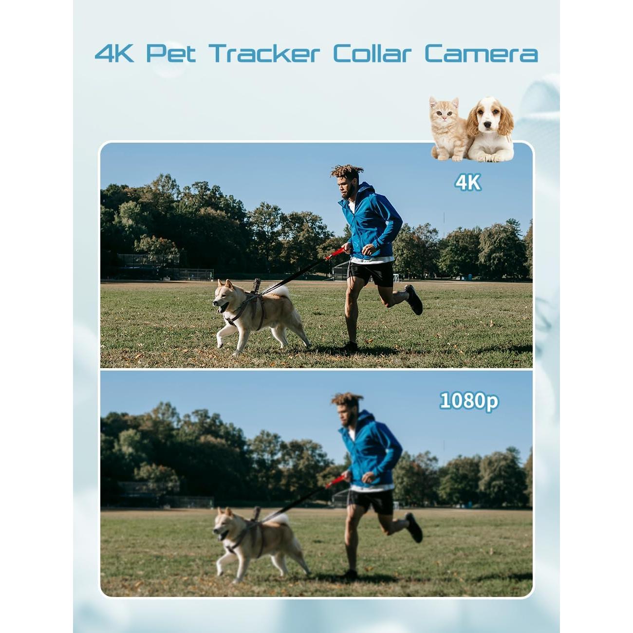 Cámara de Collar para Mascotas Apexcam 4K con WiFi y 64GB
