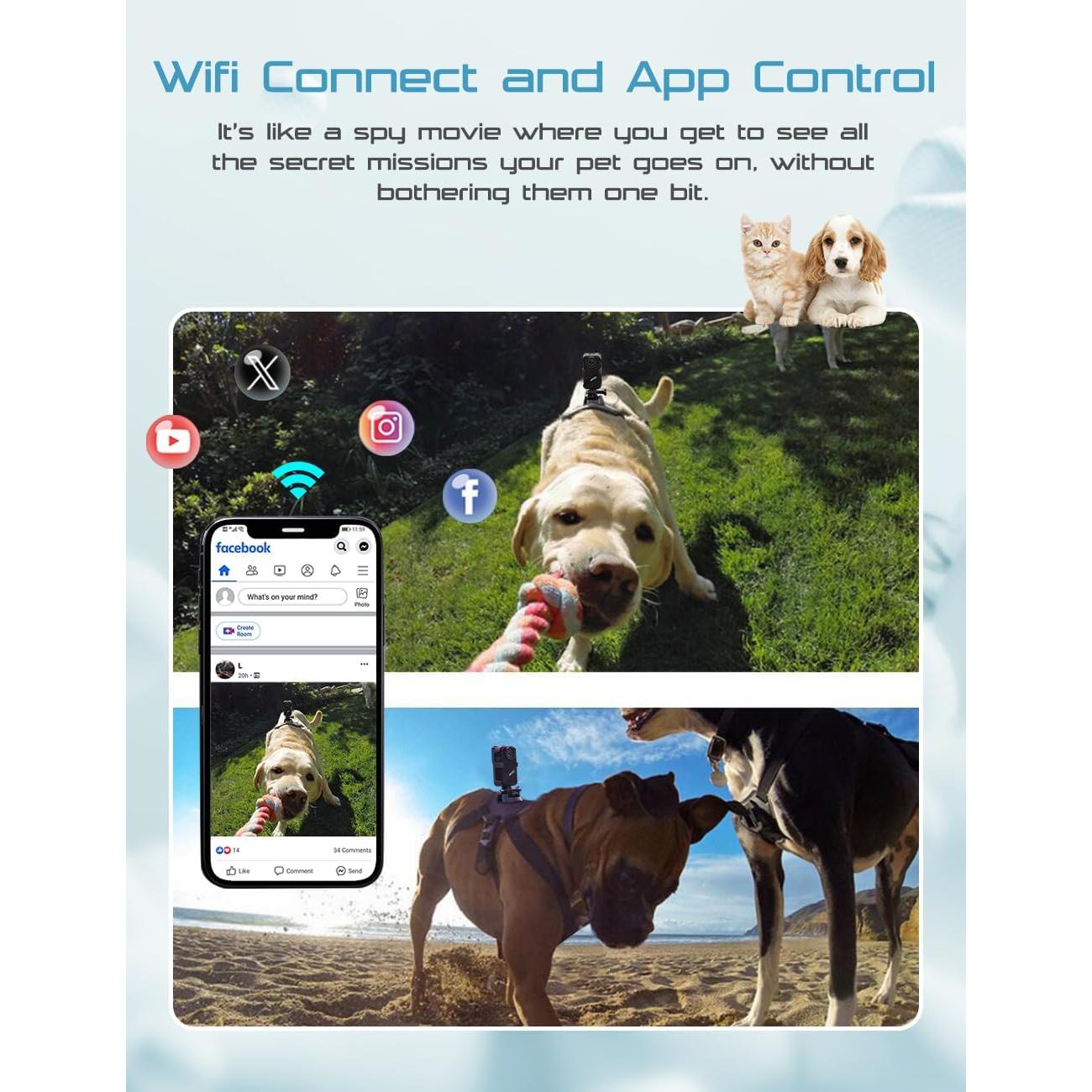 Cámara de Collar para Mascotas Apexcam 4K con WiFi y 64GB