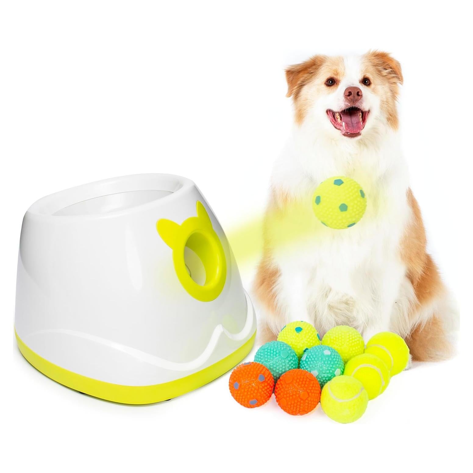Lanzador Automático de Pelotas PALULU para Perros Pequeños