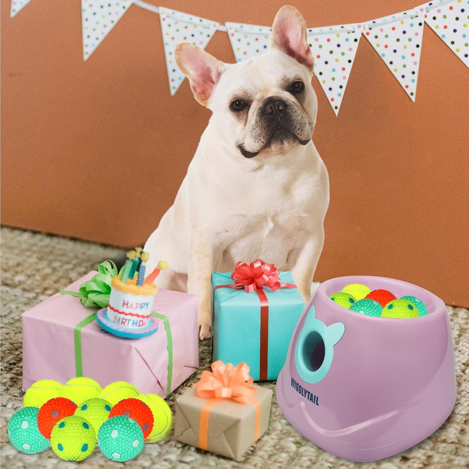 Lanzador Automático de Pelotas para Perros WDBL-001 Rosa