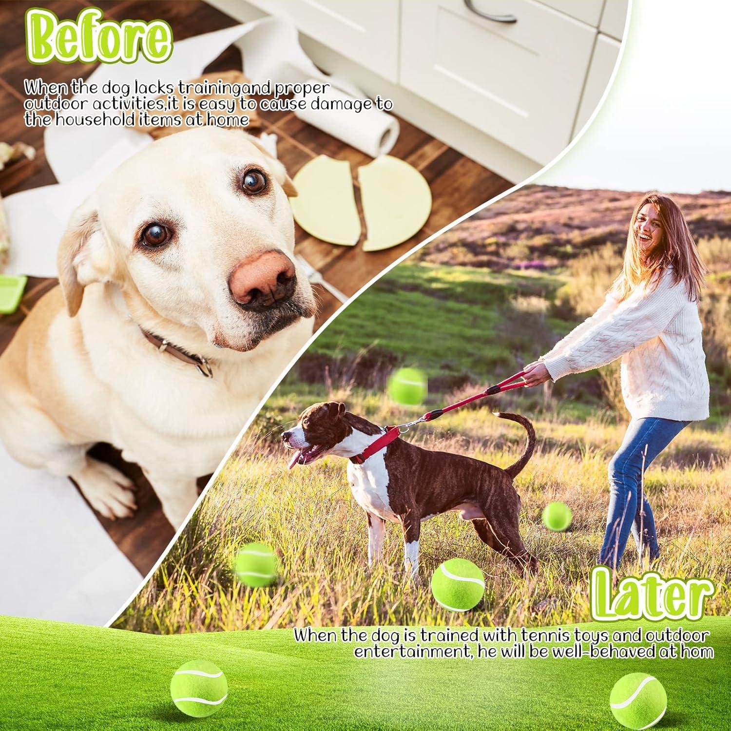 Hanaive 20 Pelotas de Tenis para Perros 5 cm Juguetes de Goma