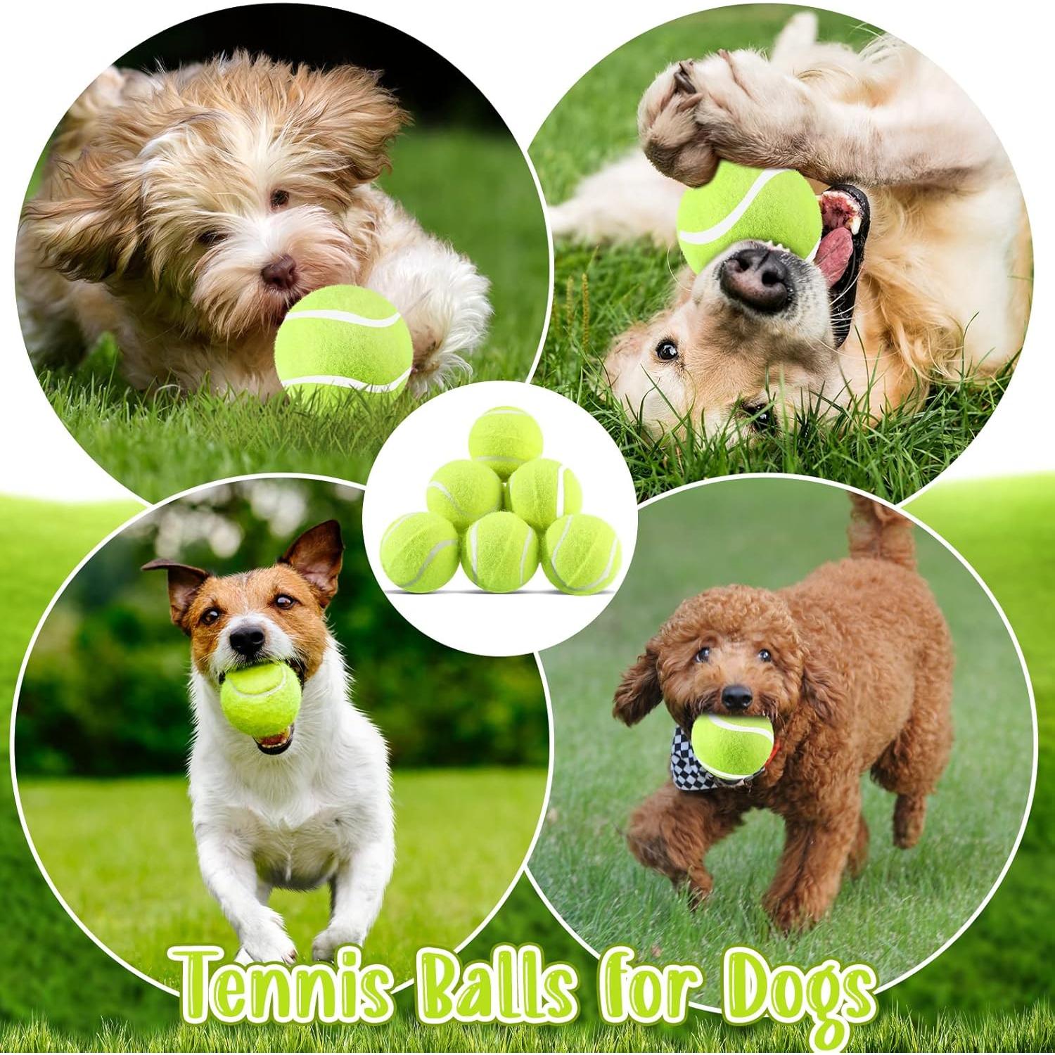 Hanaive 20 Pelotas de Tenis para Perros 5 cm Juguetes de Goma