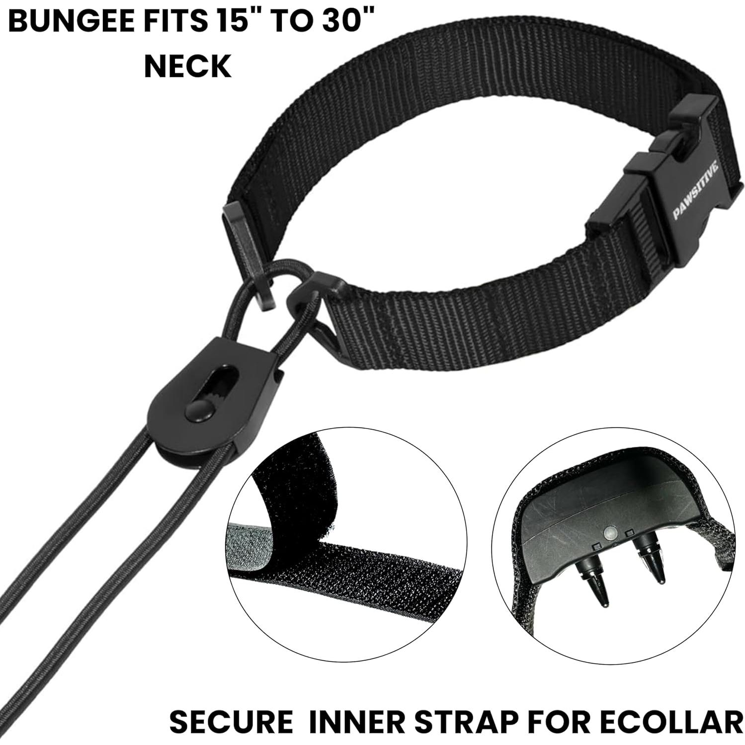 Correa de Reemplazo Bungee Táctica Gracie 2.54 cm Azul