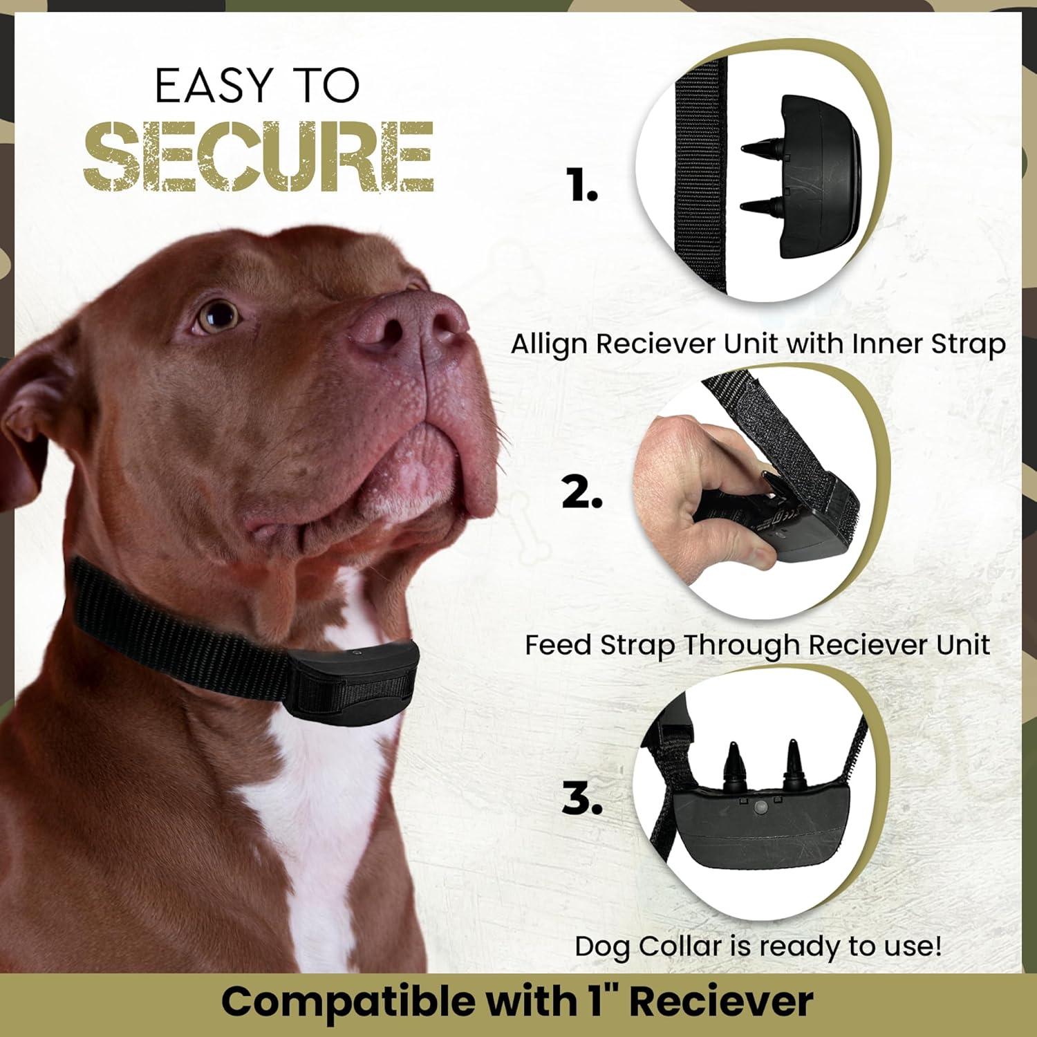 Correa de Reemplazo Bungee Táctica Gracie 2.54 cm Azul