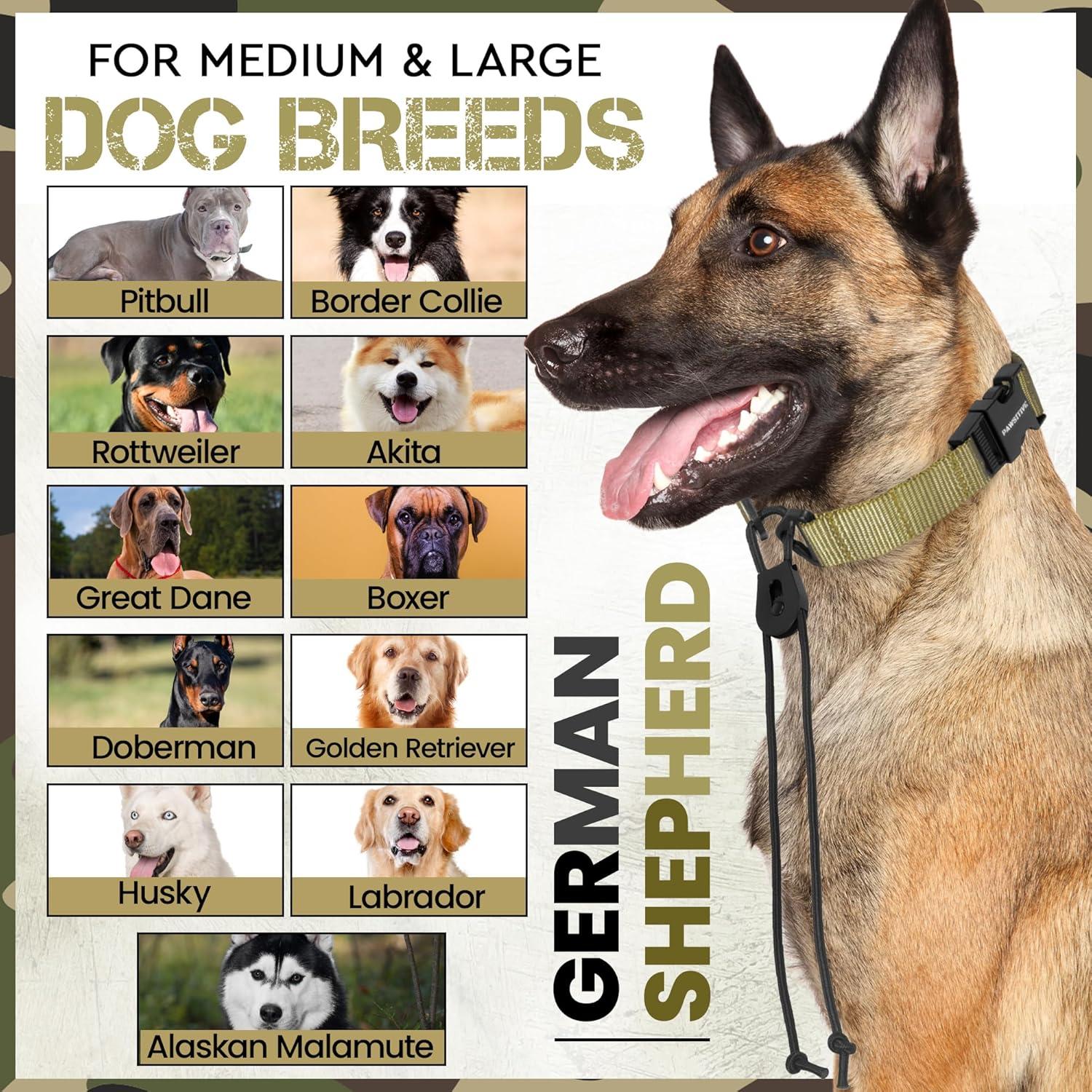 Correa de Reemplazo Bungee Táctica Gracie 2.54 cm Azul