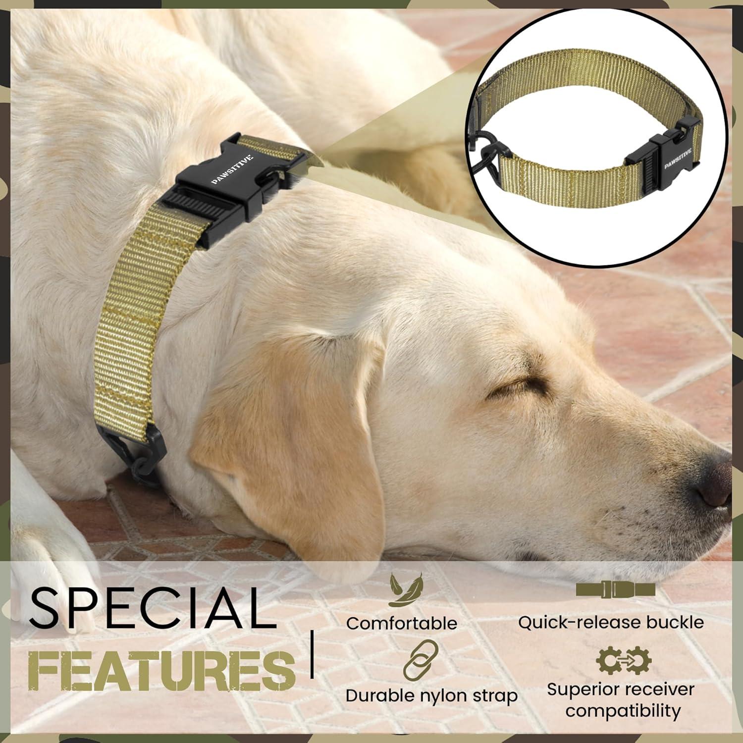 Correa de Reemplazo Bungee Táctica Gracie 2.54 cm Azul