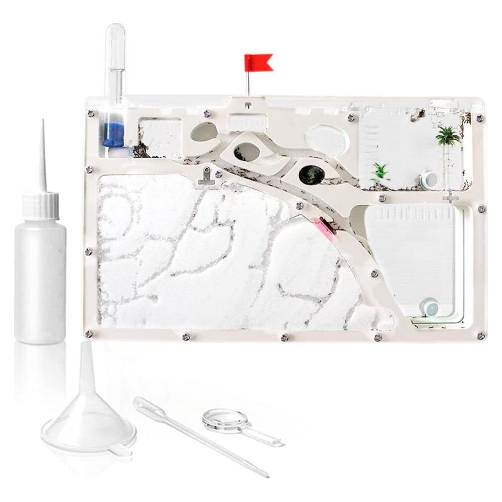 Castillo de Cría de Hormigas Kahopy con Accesorios Educativos