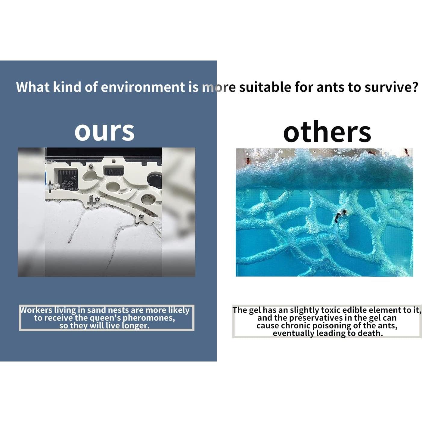 Castillo de Cría de Hormigas Kahopy con Accesorios Educativos