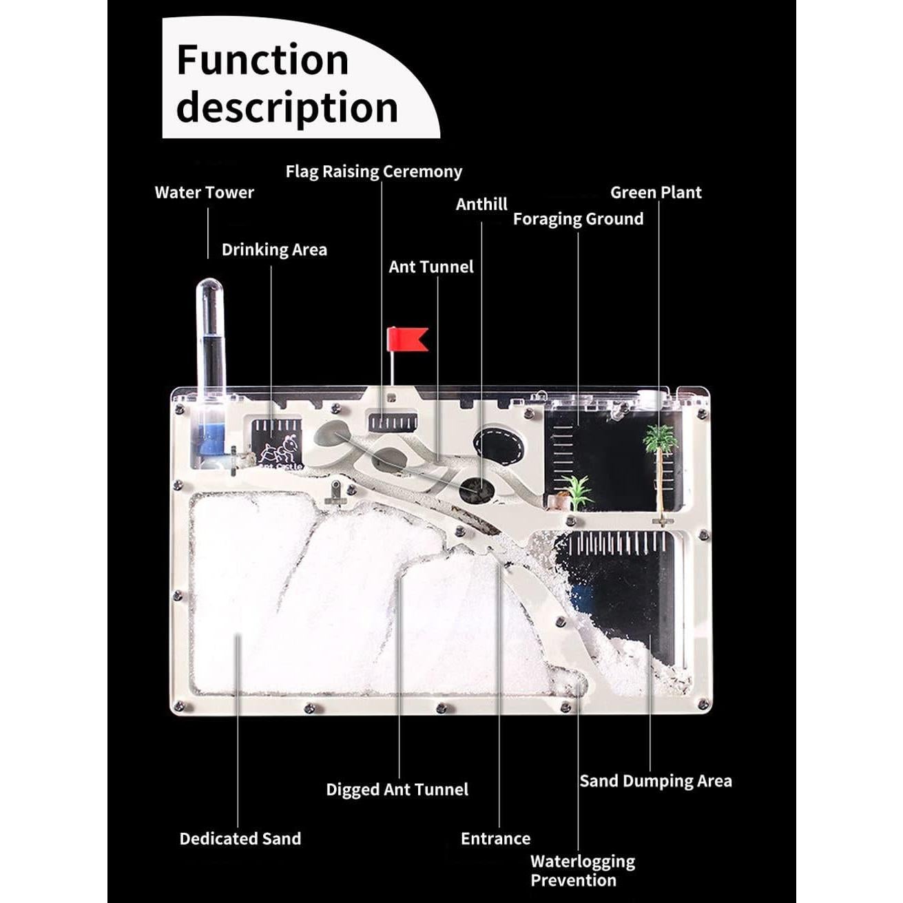 Castillo de Cría de Hormigas Kahopy con Accesorios Educativos