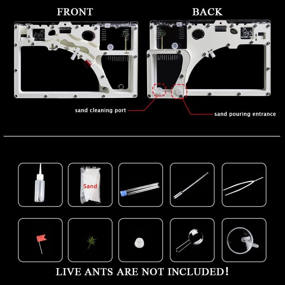 Castillo de Cría de Hormigas Kahopy con Accesorios Educativos