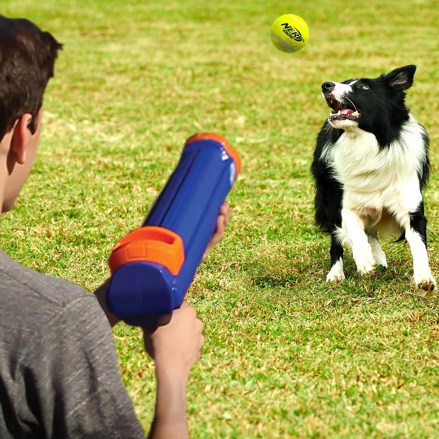 Blaster Nerf Dog Grande con 4 Pelotas para Perros