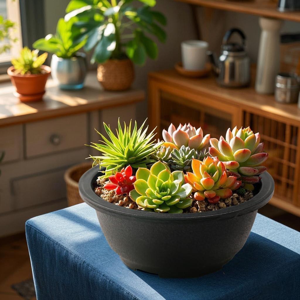 Macetas Redondas MUZHI 12 Piezas para Bonsai 19.8 cm