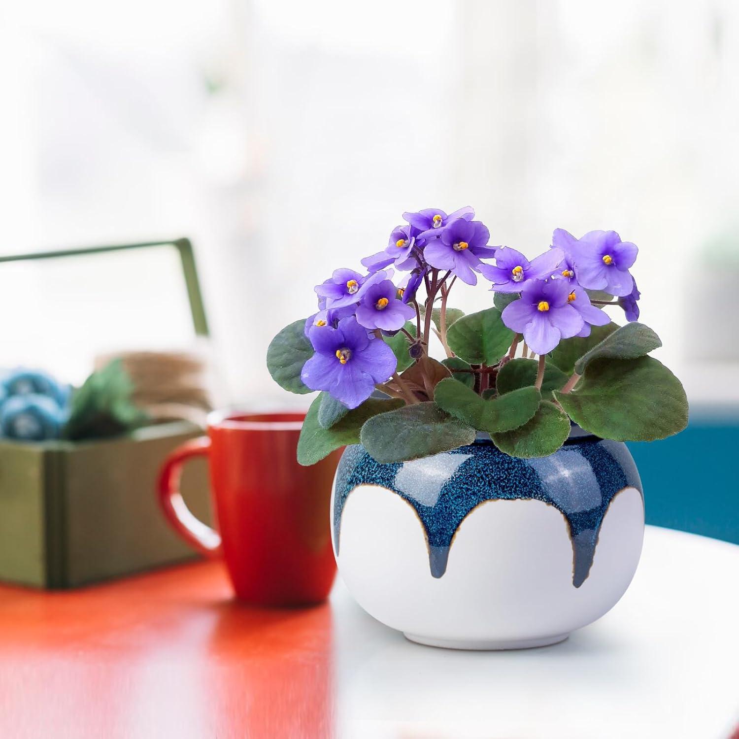 Maceta Autorriego LITUDISO 15 cm Azul Gradiente Cerámica