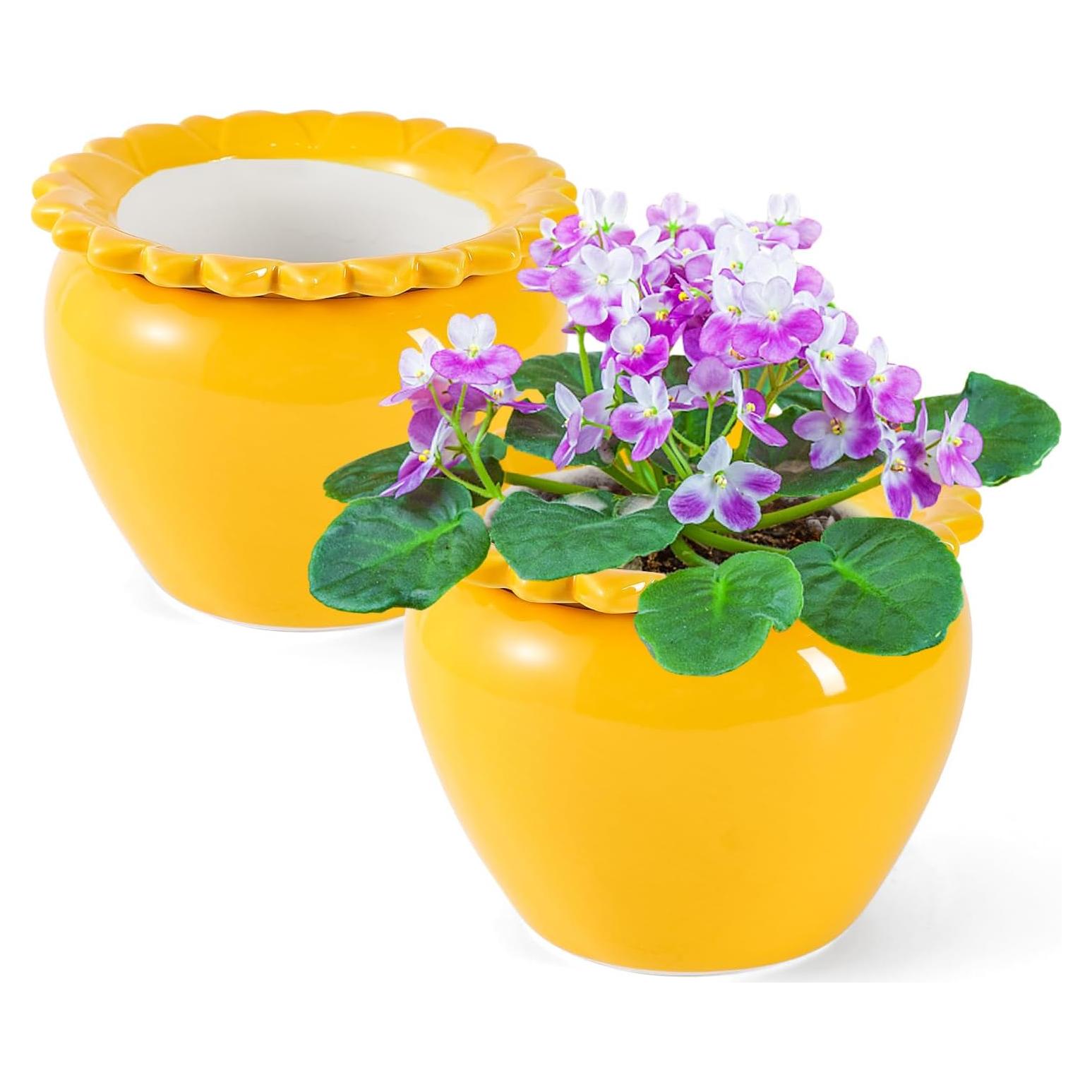 Maceta Autorriego 2pcs Cerámica Amarilla Loto Lovely Ran