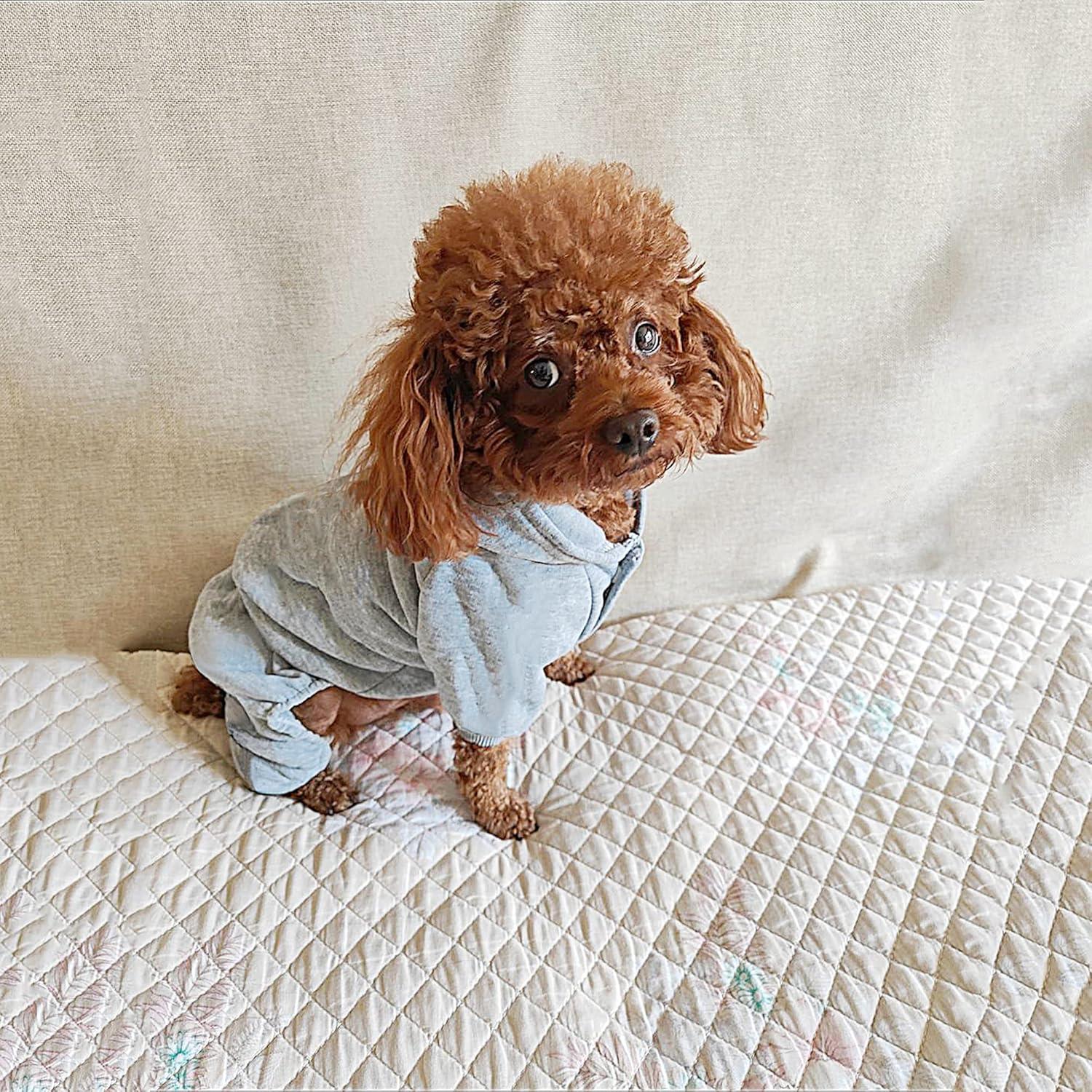 Sudadera para Perros LifeWheel Gris Algodón Tallas S a XL