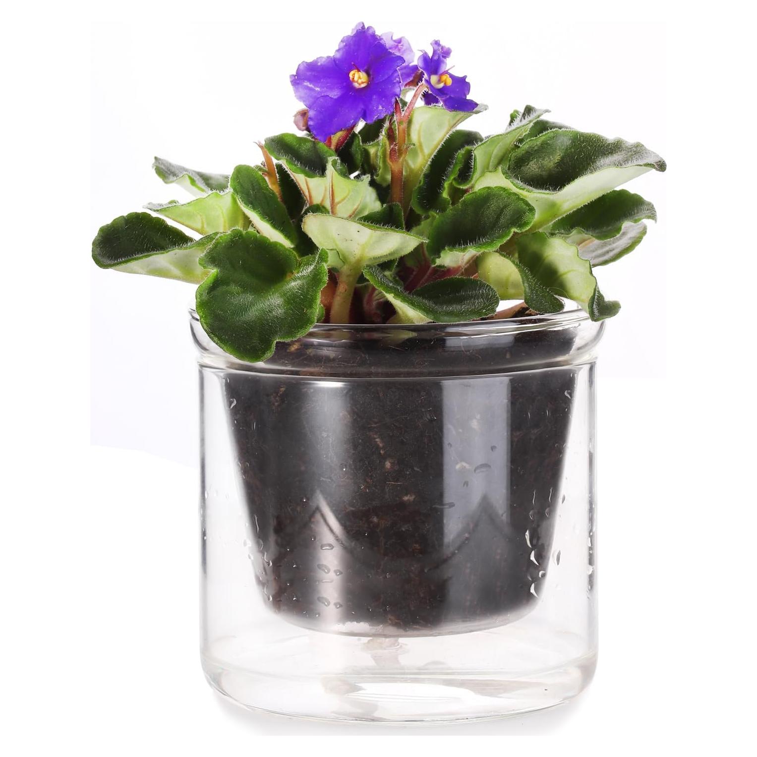 Maceta Autorriego 10 cm LAZUSAM para Plantas de Interior