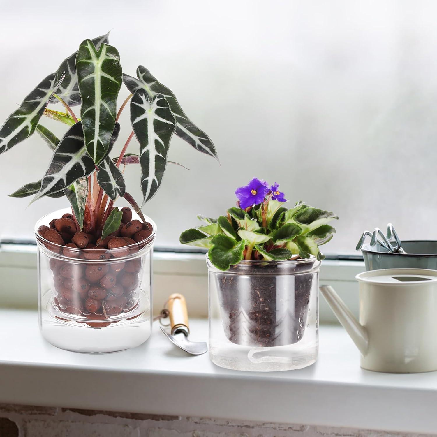 Maceta Autorriego 10 cm LAZUSAM para Plantas de Interior