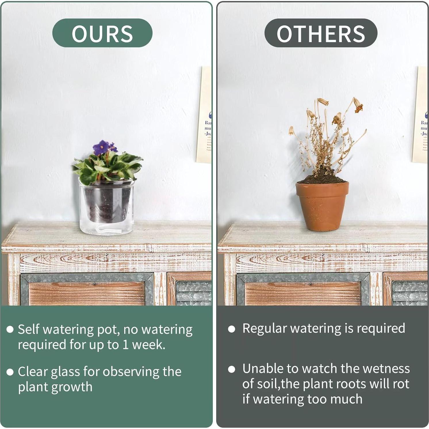 Maceta Autorriego 10 cm LAZUSAM para Plantas de Interior