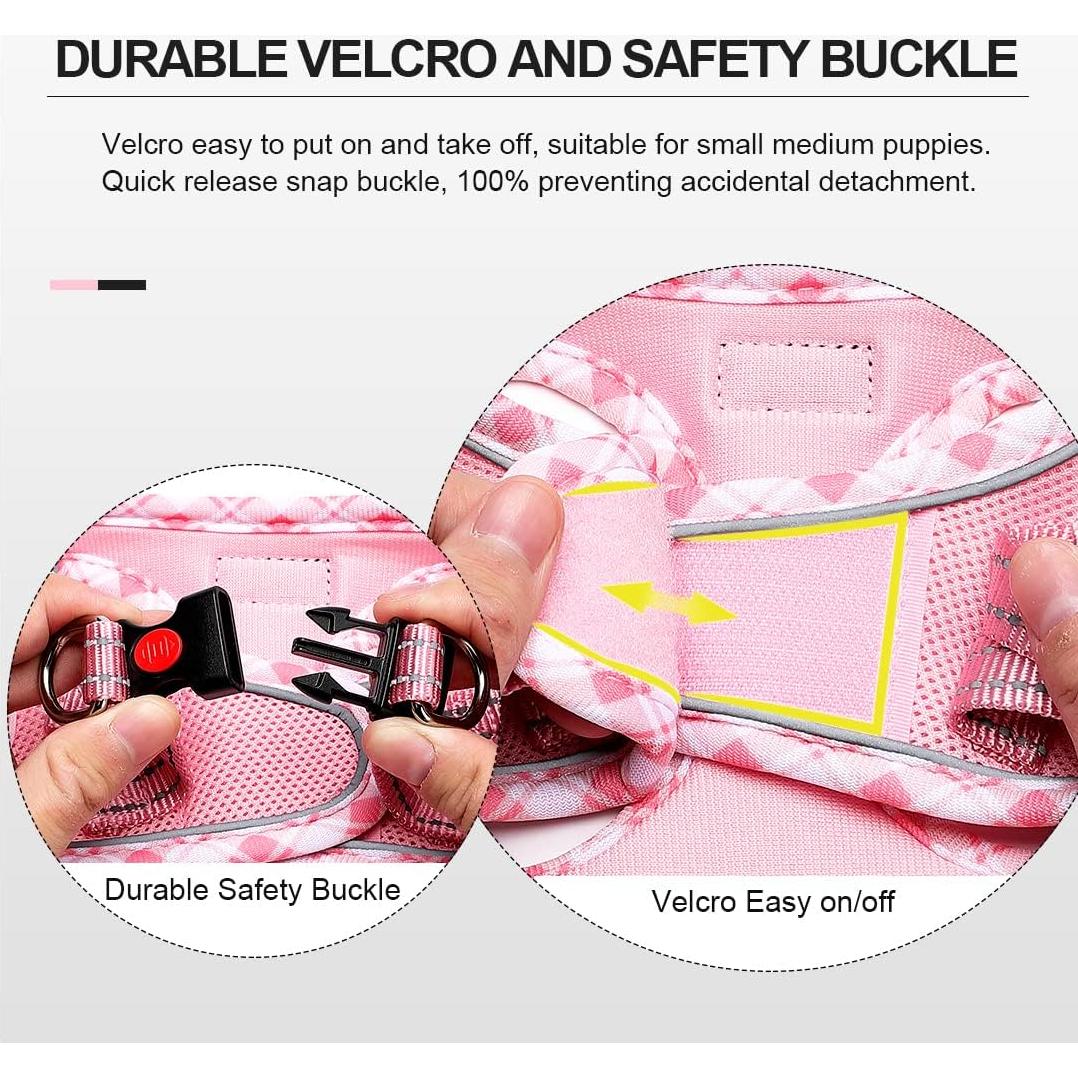 Arnés y Correa Mercano Rosa S para Perros y Gatos