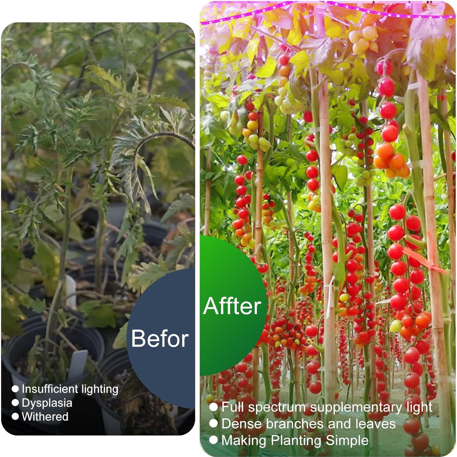 Luces de Crecimiento LED LYGZM 120 LEDs USB 2m Espectro Completo