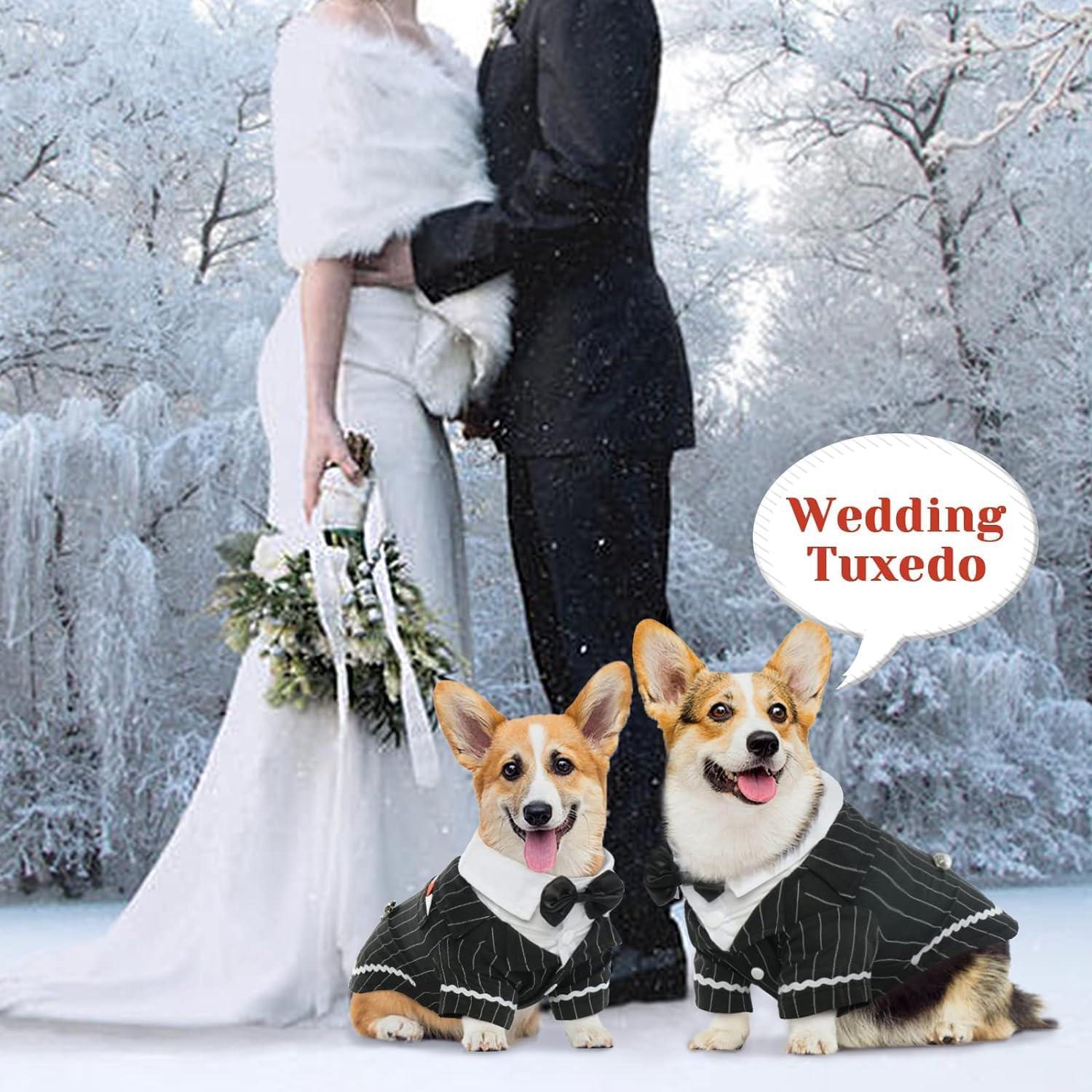 Disfraz Tuxedo para Perros DENTRUN Ajustable para Bodas