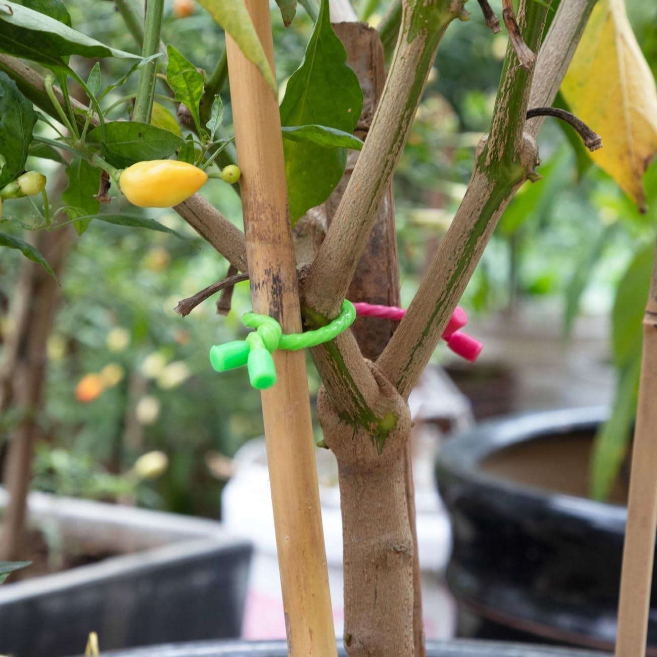 Bridas de Silicona HTHOOOOOME 9 Piezas 10-30 cm Multiusos