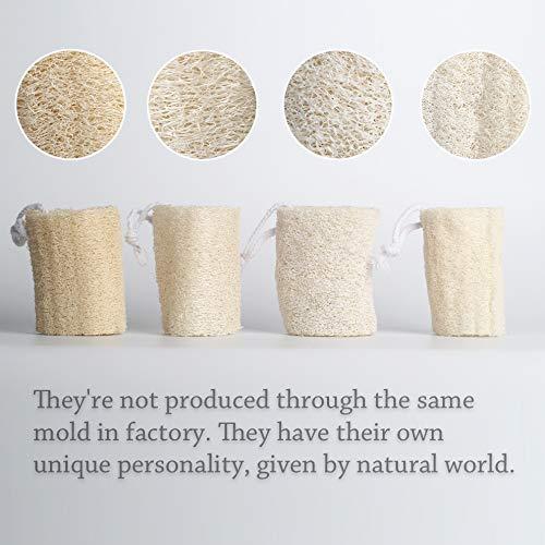 Esponja Exfoliante de Loofah Natural 10 cm - Paquete de 4