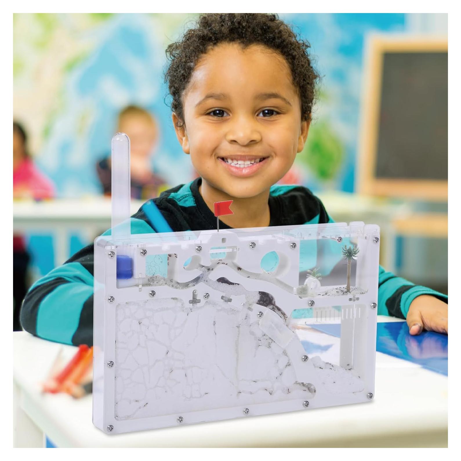 Castillo de Hormigas de Arena NAVAdeal 2023 - Kit Educativo 24.13x14.99cm