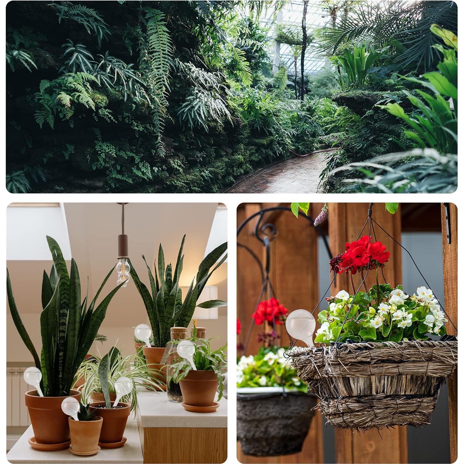 20 Esferas de Riego Automático Zddaoole 5x13.5cm PVC