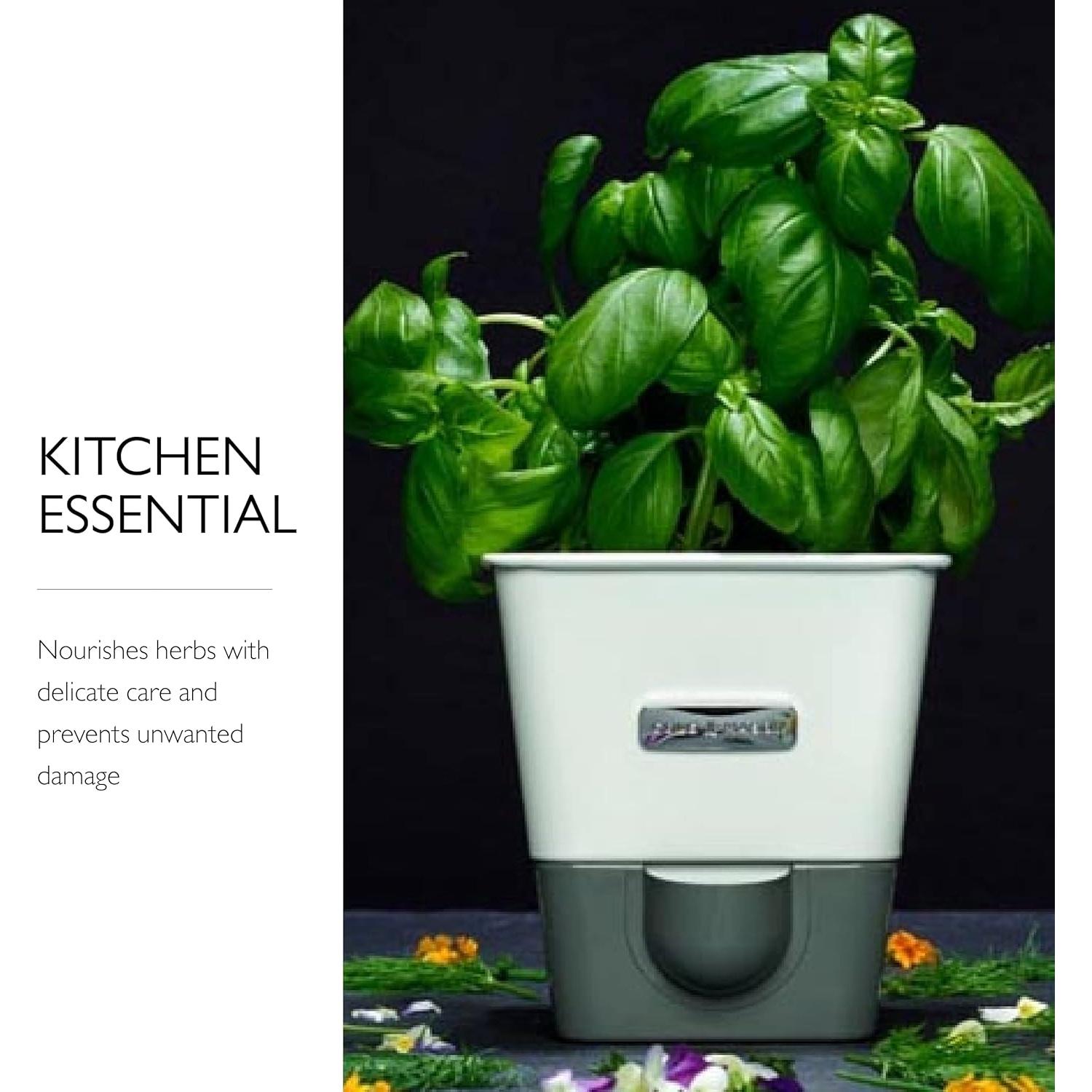 Conservador de Hierbas Cole & Mason Auto-Riego 295 ml