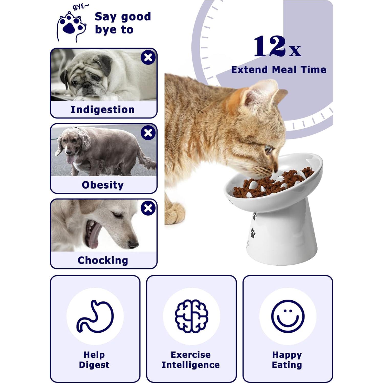 Comedero Elevado para Gatos Y YHY Cerámica Antivómito 15 cm