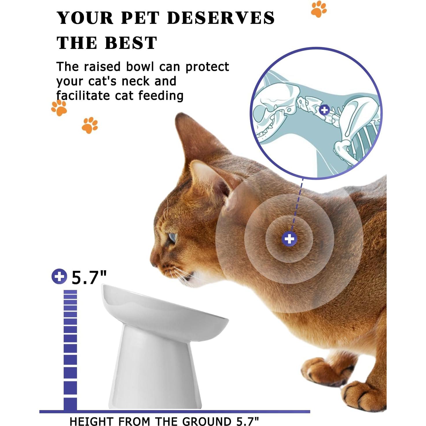 Comedero Elevado para Gatos Y YHY Cerámica Antivómito 15 cm