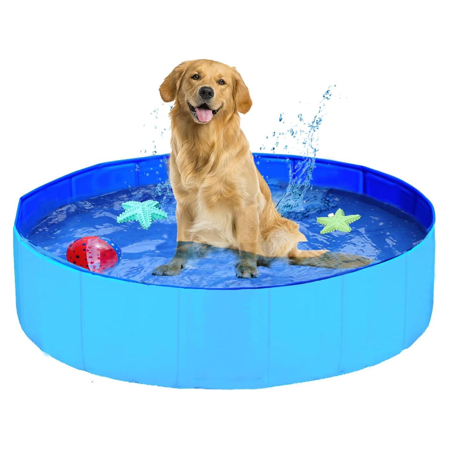 Piscina Plegable ITidyHome para Mascotas y Niños 81x20 cm Azul