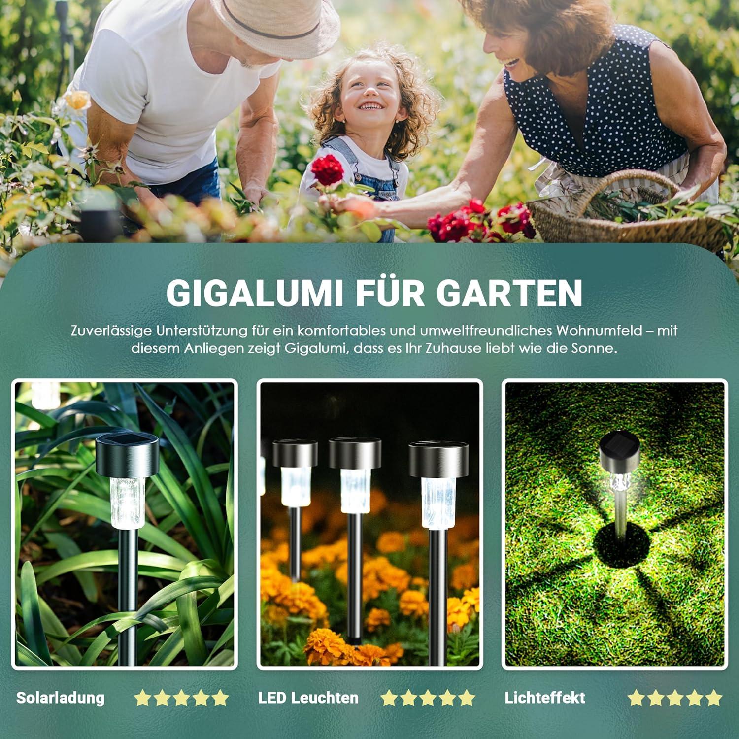 Luces Solares GIGALUMI LED 12 Piezas Acero Inoxidable