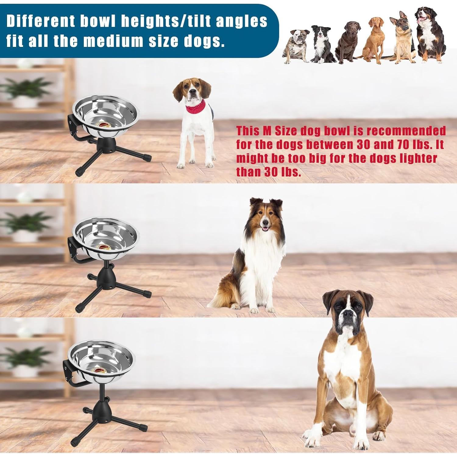 Cuenco Elevado para Perros Vexong Mediano Ajustable 2L