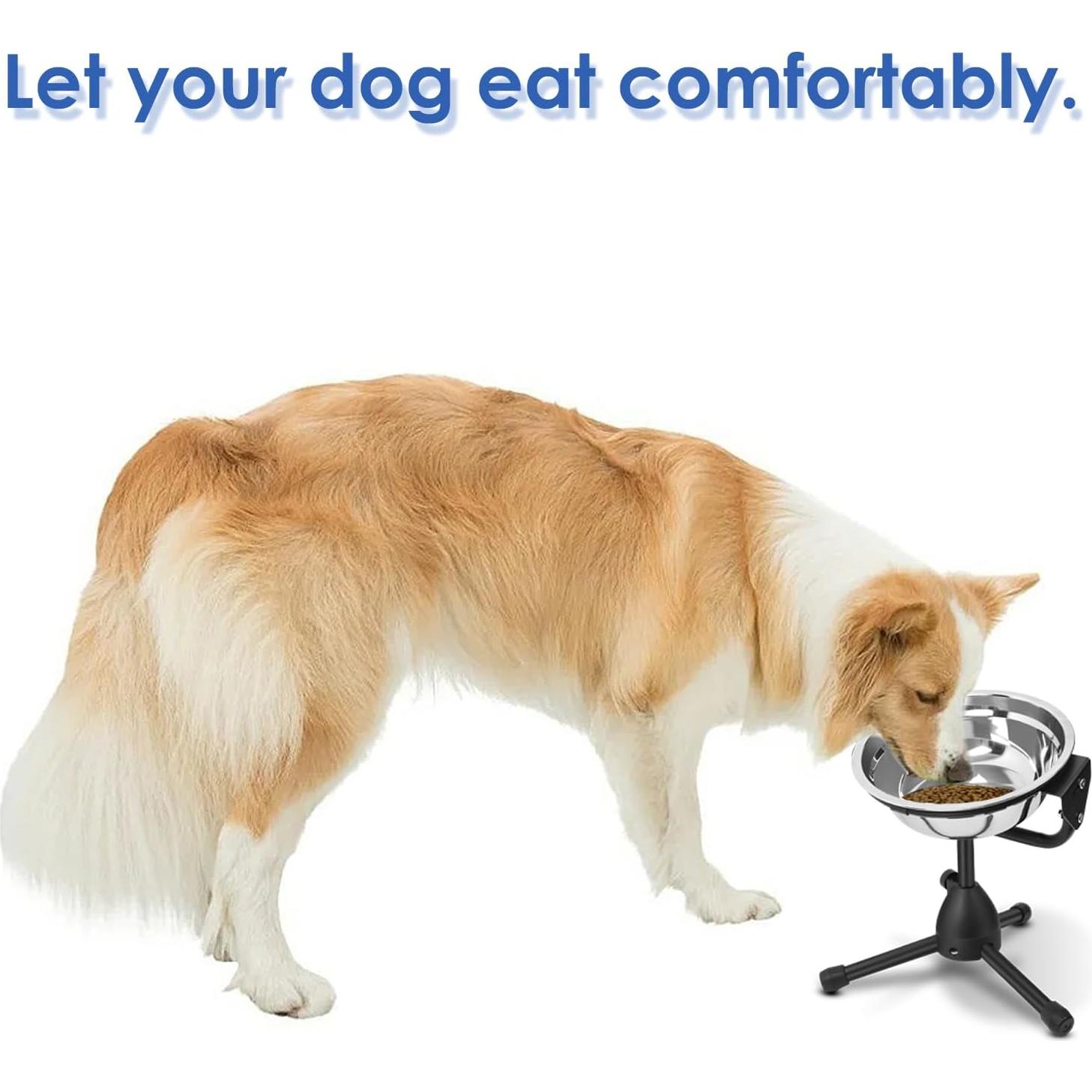 Cuenco Elevado para Perros Vexong Mediano Ajustable 2L