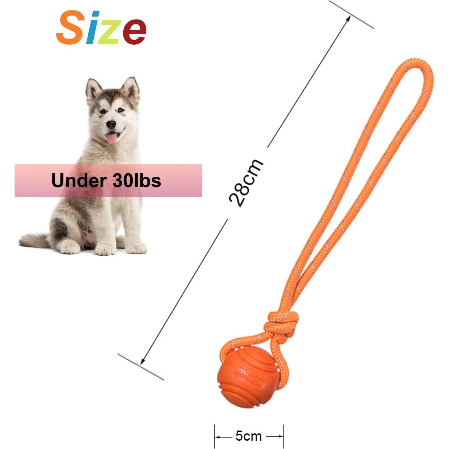 Pelota de Entrenamiento para Perros Vitalili 5cm con Cuerda