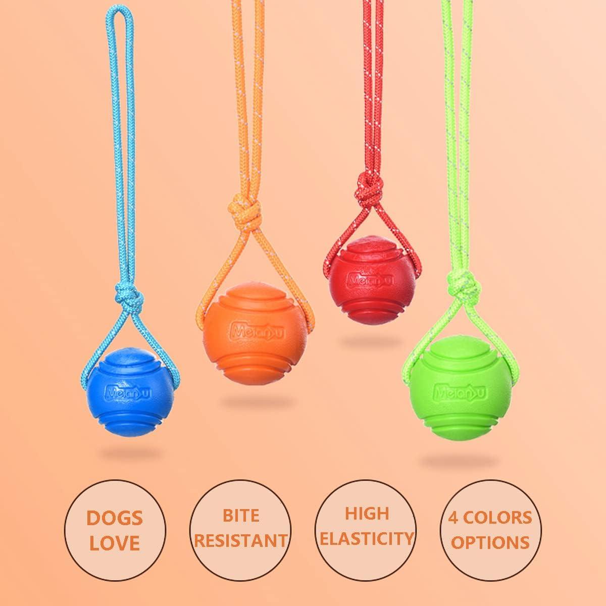 Pelota de Entrenamiento para Perros Vitalili 5cm con Cuerda