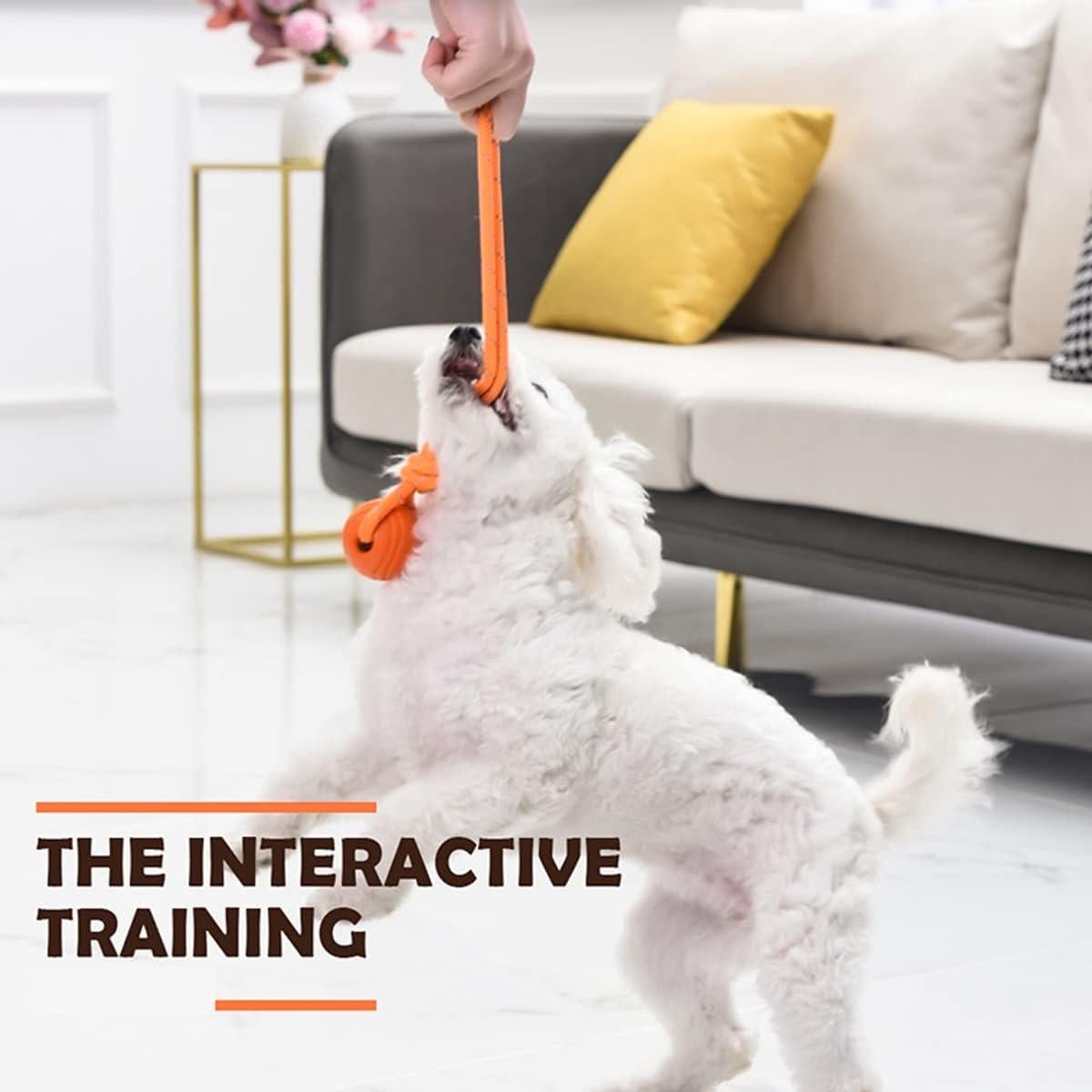 Pelota de Entrenamiento para Perros Vitalili 5cm con Cuerda