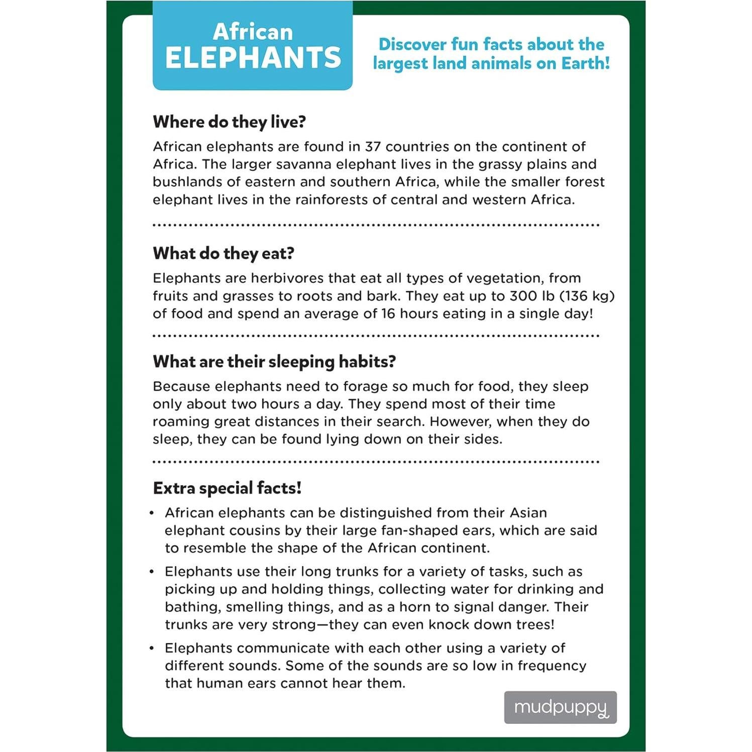 Rompecabezas Mini Elefante Africano Mudpuppy 48 Piezas 20 cm