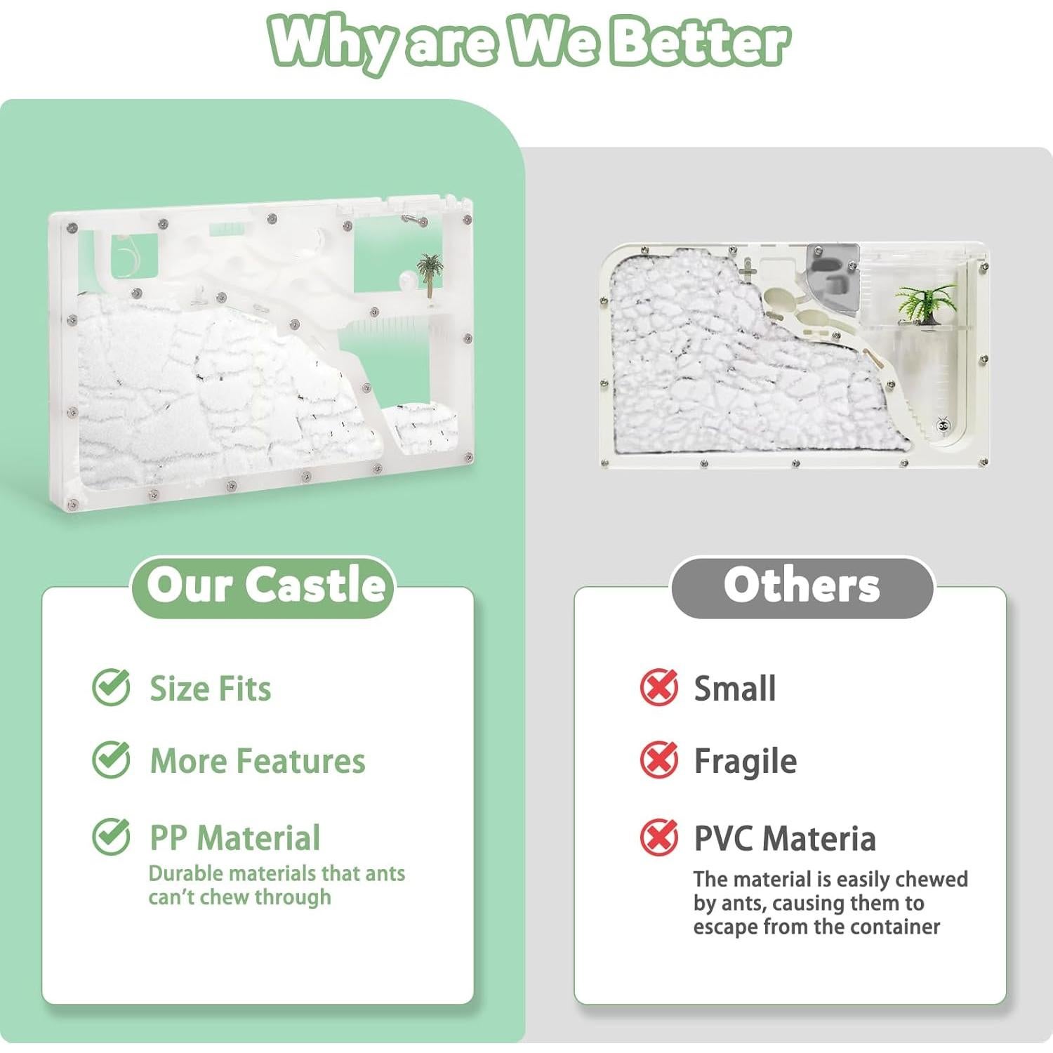 Granja de Hormigas Blevla Rectángulo Kit Educativo 27x14cm