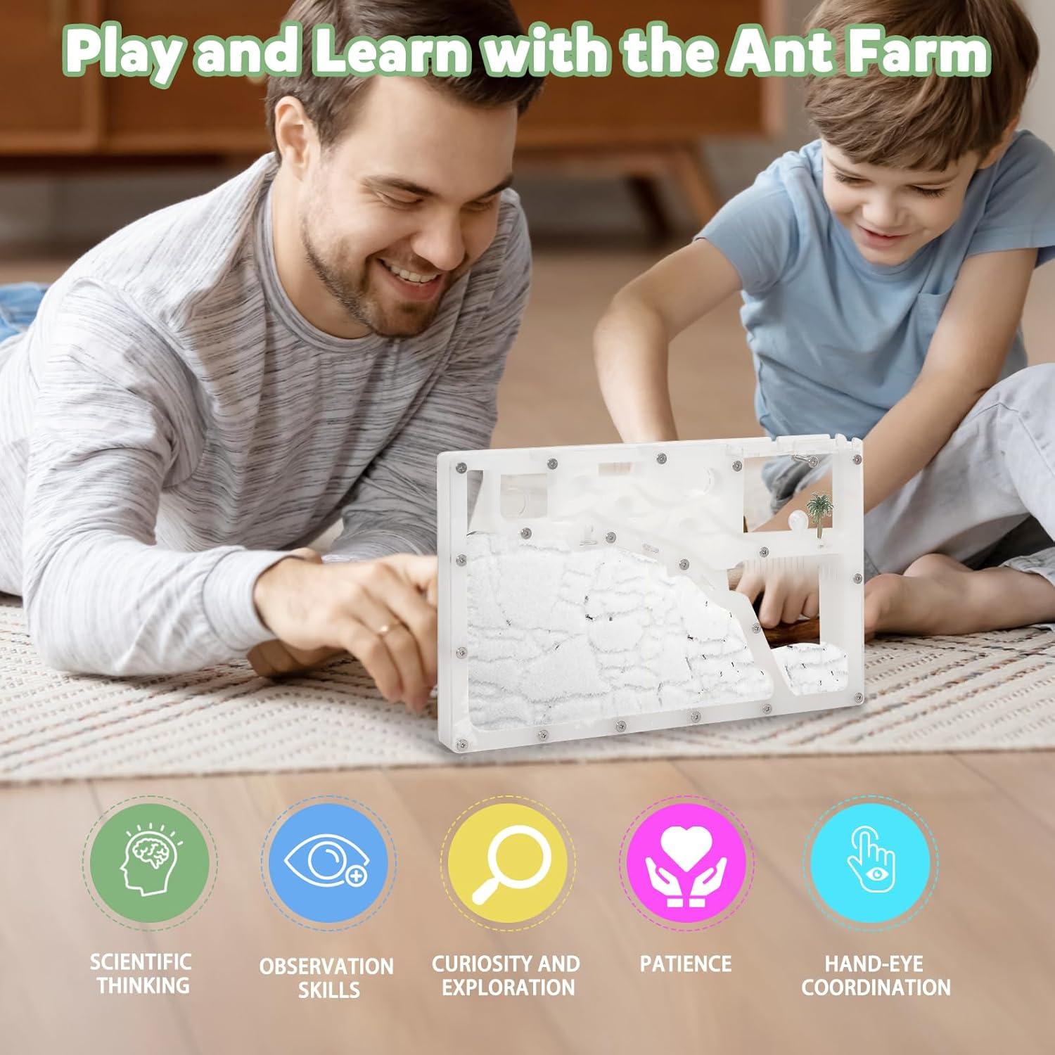 Granja de Hormigas Blevla Rectángulo Kit Educativo 27x14cm